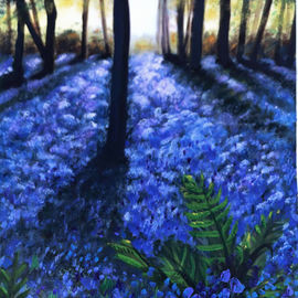 Bluebell woods, flowers, wood scene, Sunset through trees