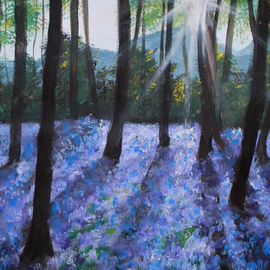 bluebell woods, sunset through trees, flowers in woods
