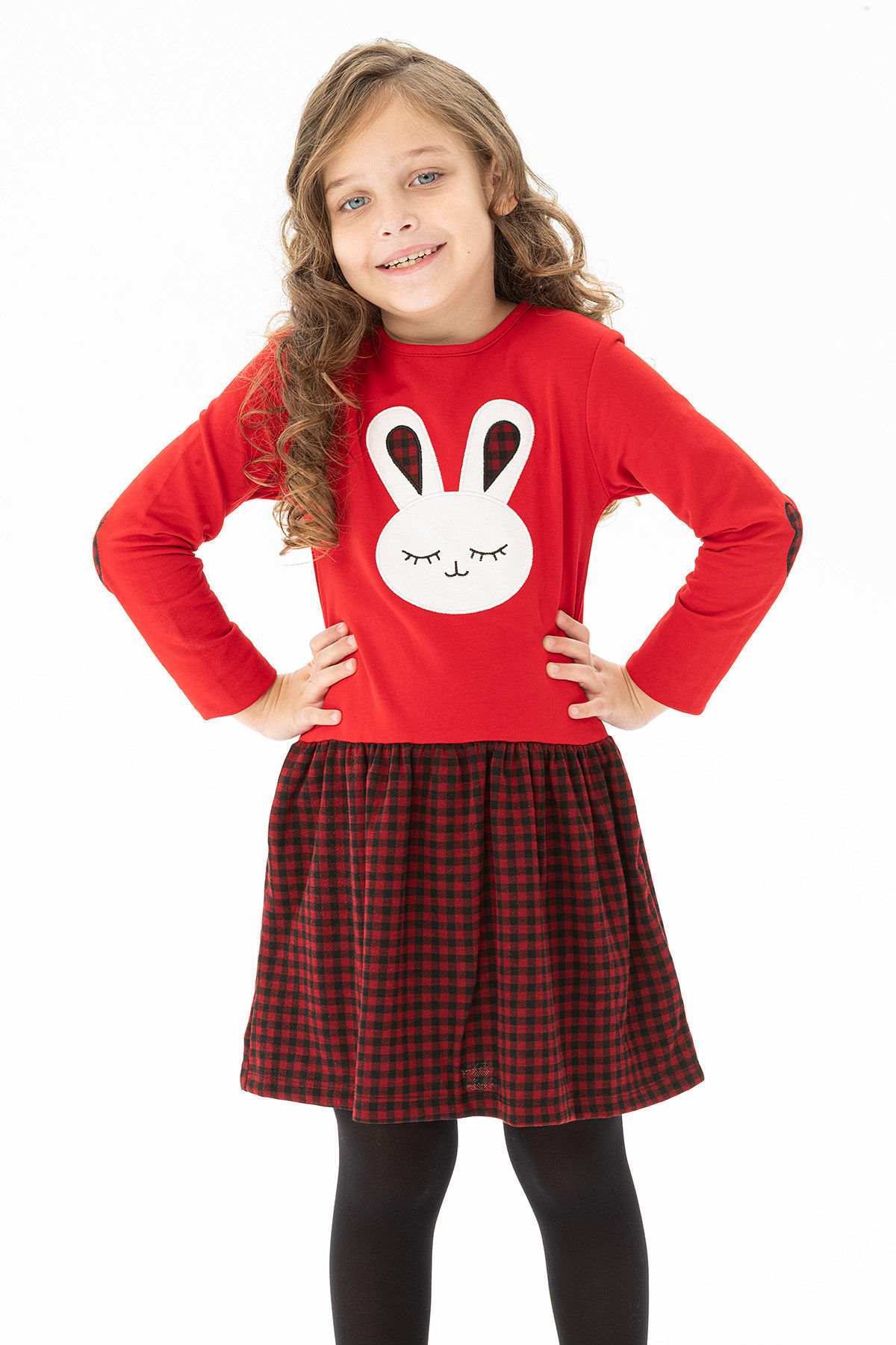 Rabbit Embroidered Dress with Plaid Skirt