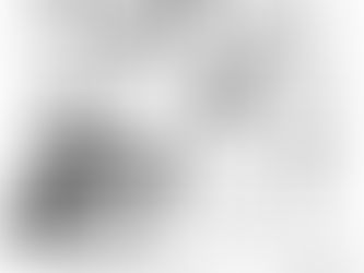 特殊な言語