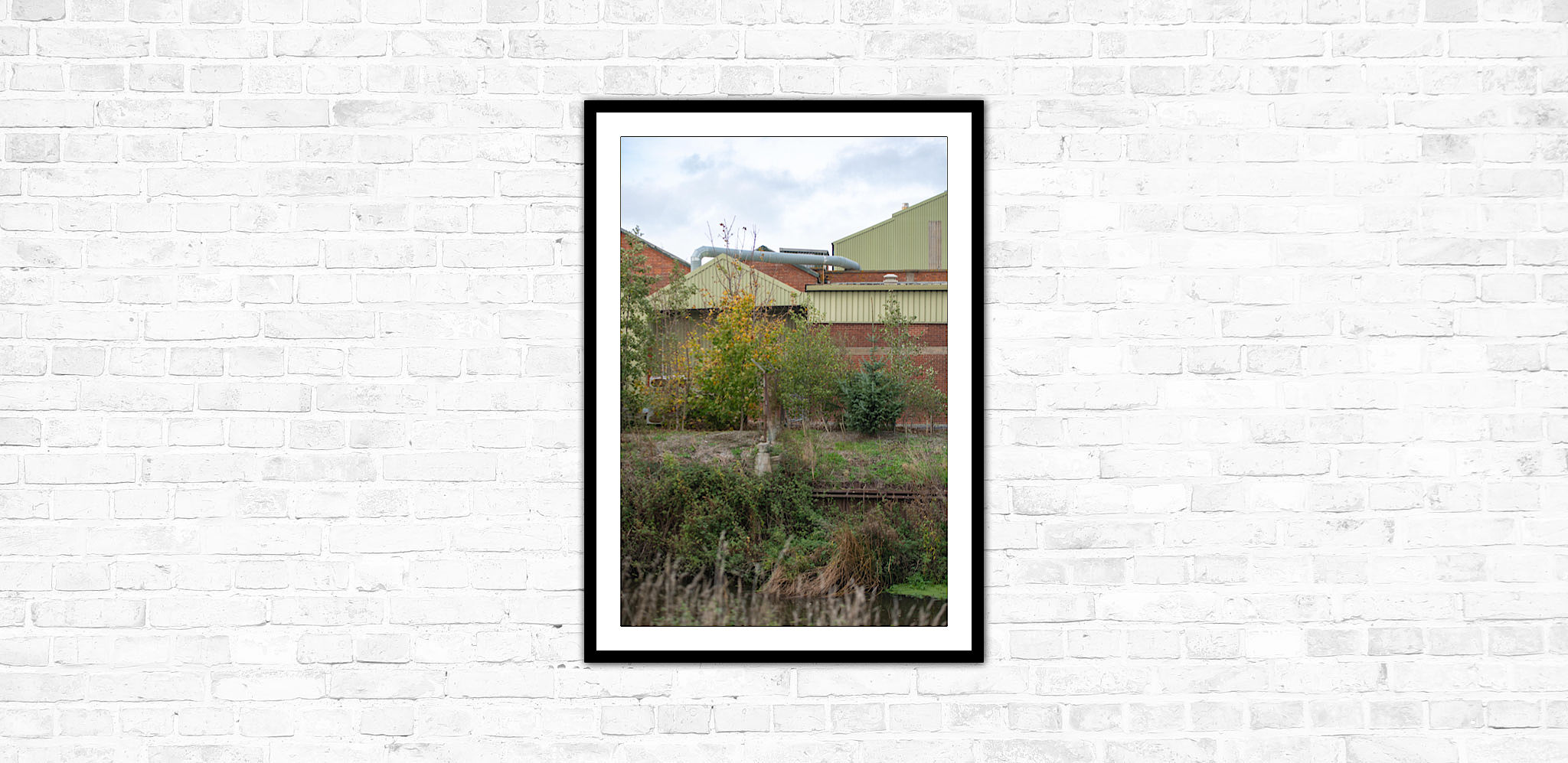 Human vs Nature Limited Edition Print