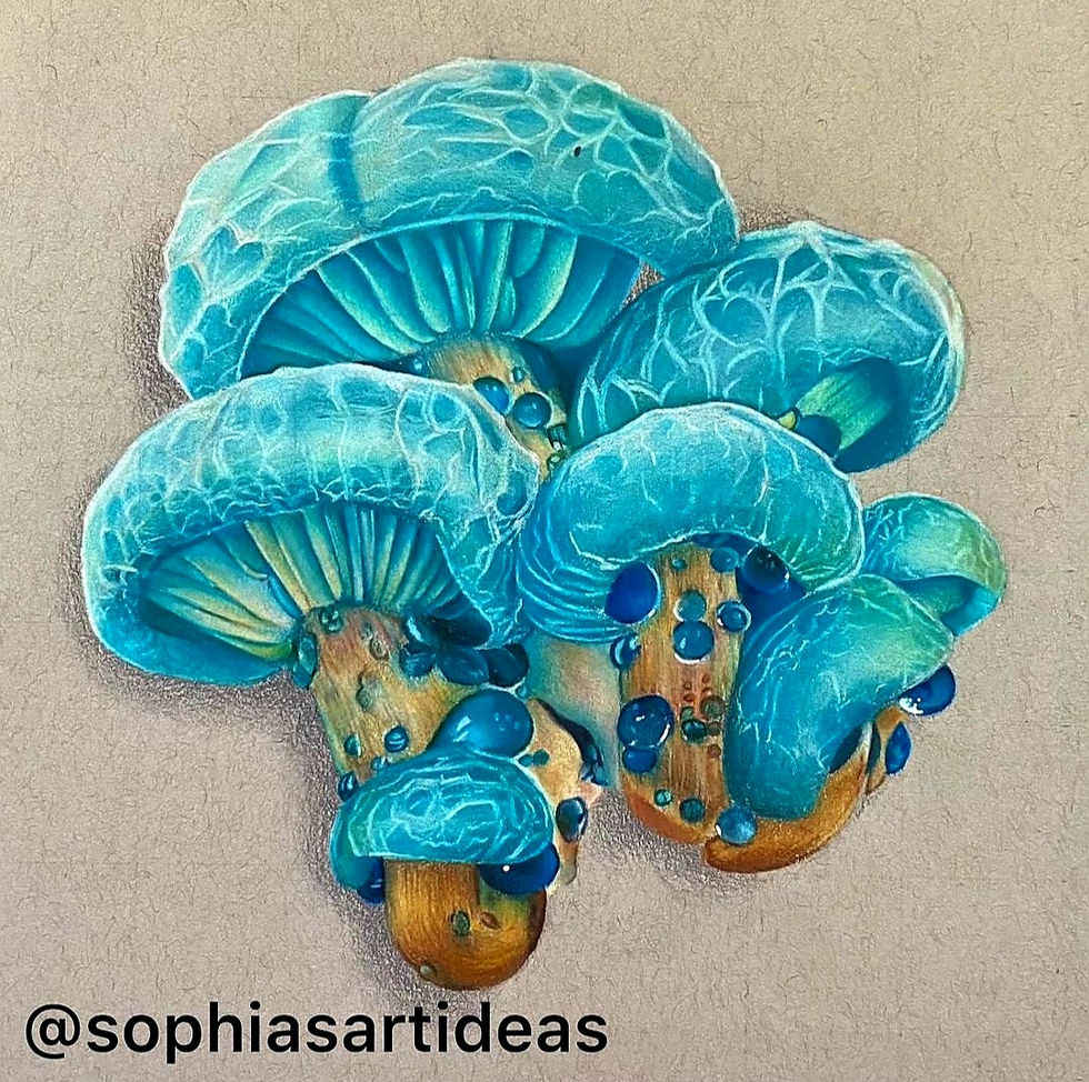 Copy of Screenshot_20211224-215059_Instagram