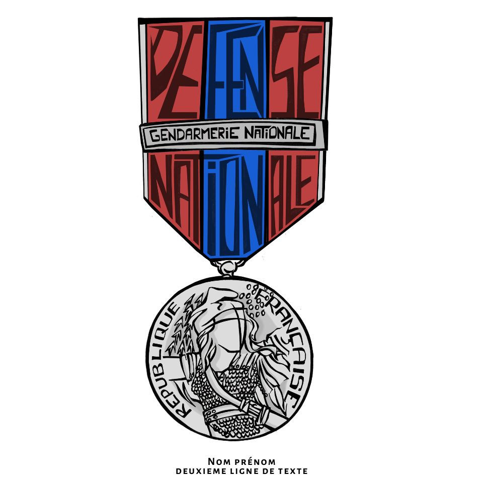 Miniature : MEDAILLE : DEFENSE NATIONALE