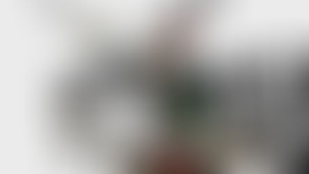 Eylau, is it me you're looking for ?