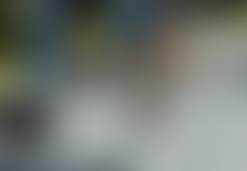 dog-friendly places in Austin TX with dogs walking along Lady Bird Lake trail