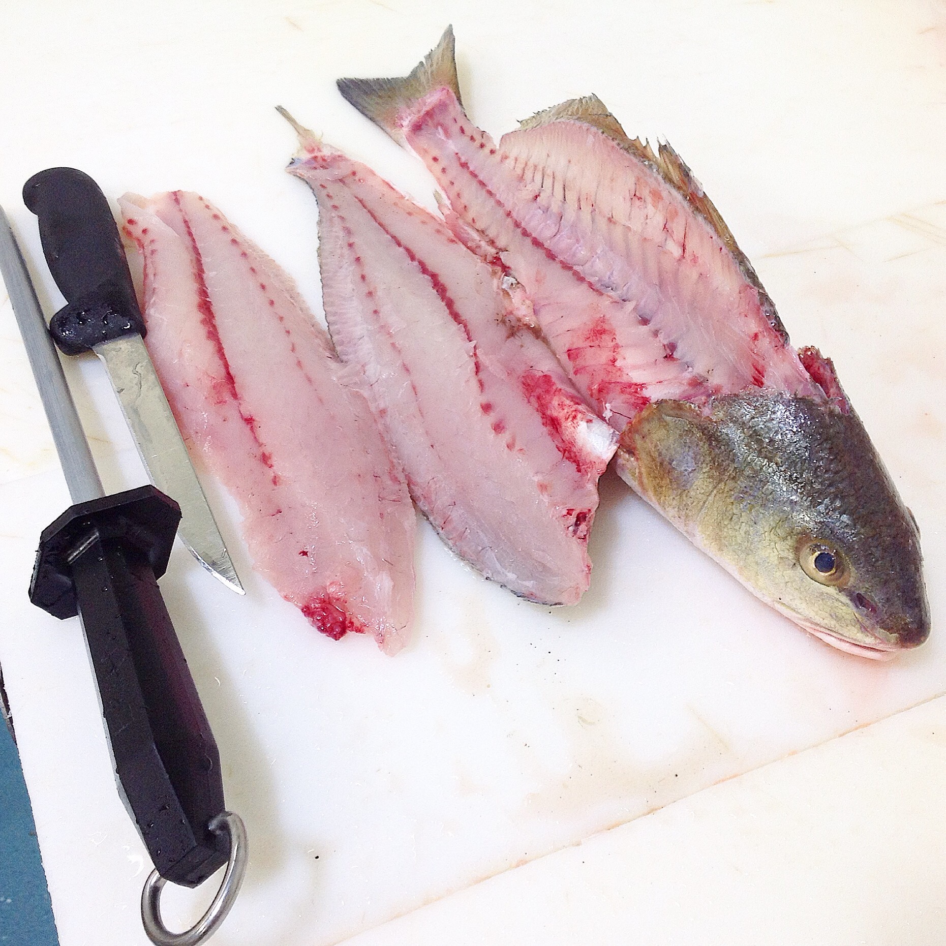 red fish fillets red fish fillets