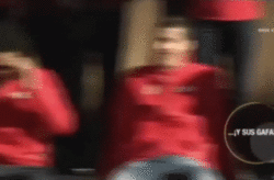 tumblr_mwzhc5N26N1rmsk02o4_r1_250.gif