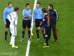 tumblr_mx3elrTXCn1s5t28vo7_250.gif