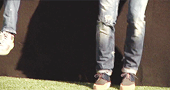 tumblr_mwzpmfcu401rr0e5ho7_250.gif