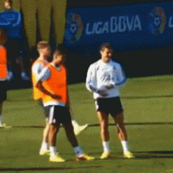 tumblr_muwaog8ecJ1rmsk02o1_r1_250.gif