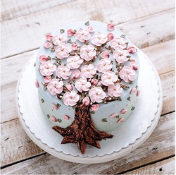 ivenoven pickacake.in 4