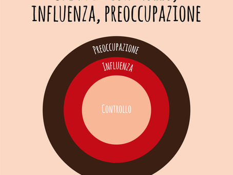 Sfera di controllo, sfera dell'influenza e sfera della preoccupazione