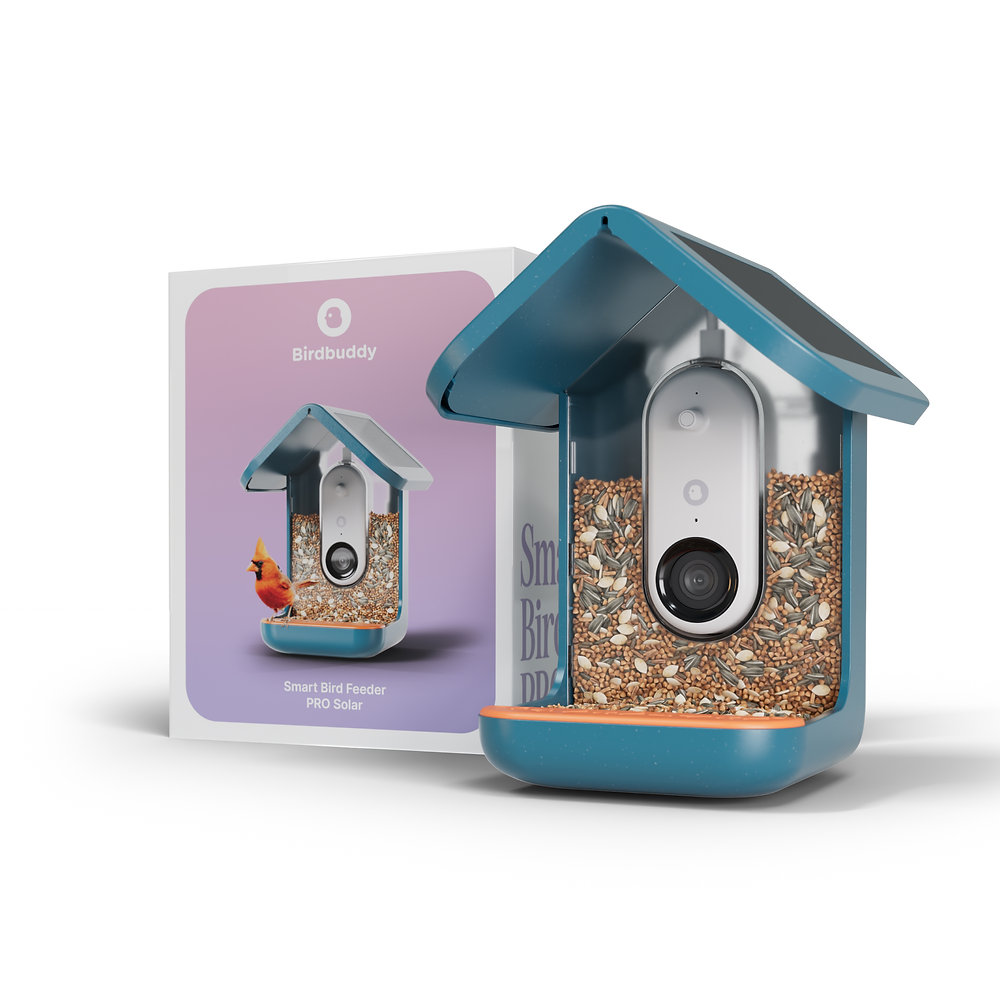 Bird Buddy Invention How Bird Buddy is Turning Birdwatching into a Global Nature Movement