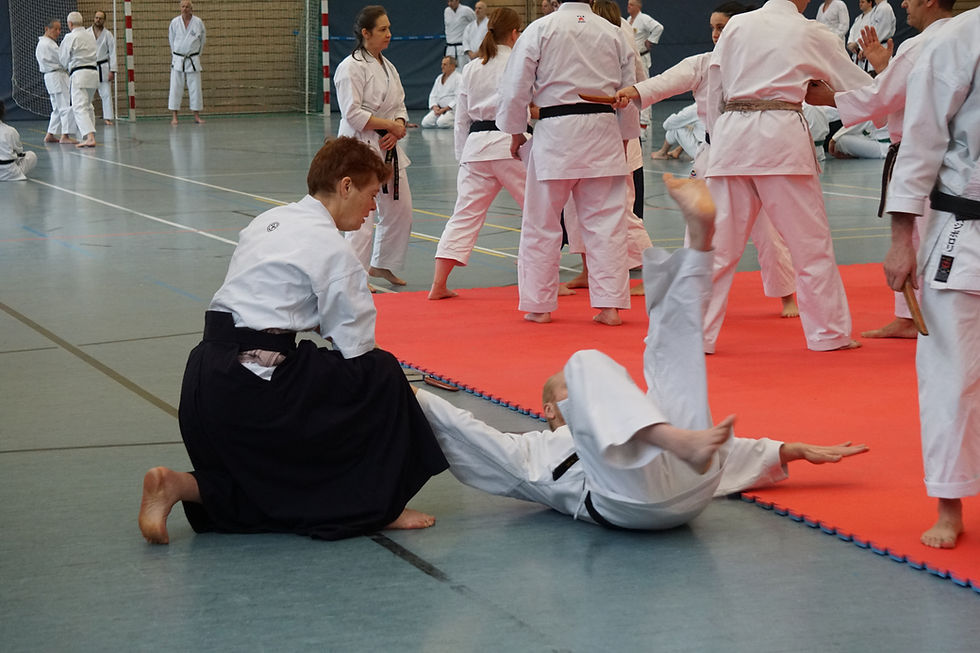 Die Verbindung zwischen Shindo Yoshin Ryu und Wado RyuWado und TSYR Lehrgang mit Koichi Shimura (Japan) und Toby Threadgill (USA)am 21. und 22. Februar 2026 in Berlin