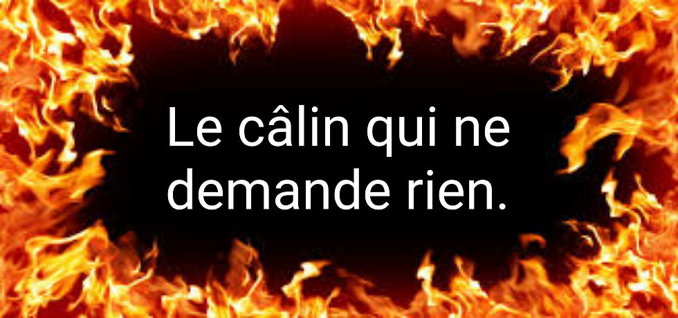 Le meilleur câlin qui ne demande rien.
