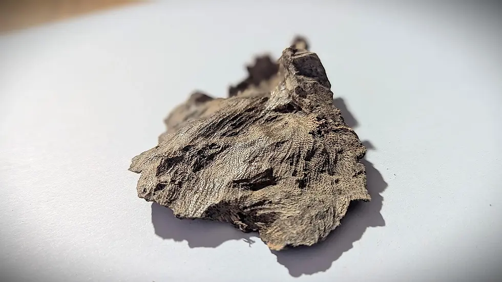 Thumbnail: Sri Lankan Agarwood - Deniyaya Descent - Walla Patta - 4.8g