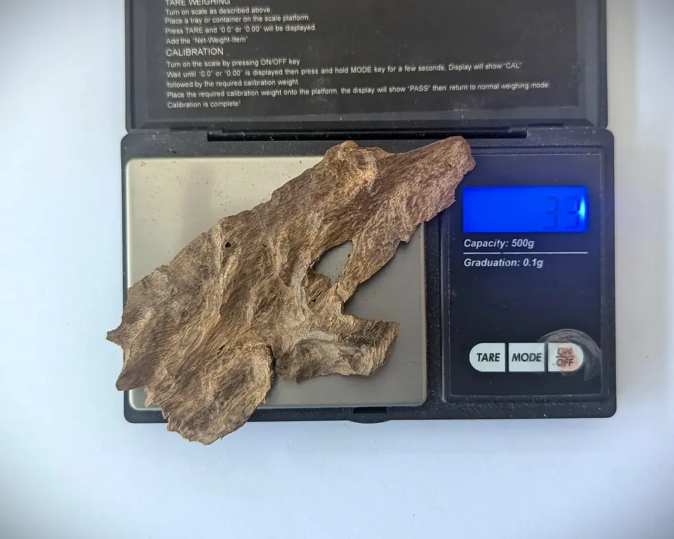 Thumbnail: Sri Lankan Agarwood - Deniyaya Descent - Walla Patta - 3.3g