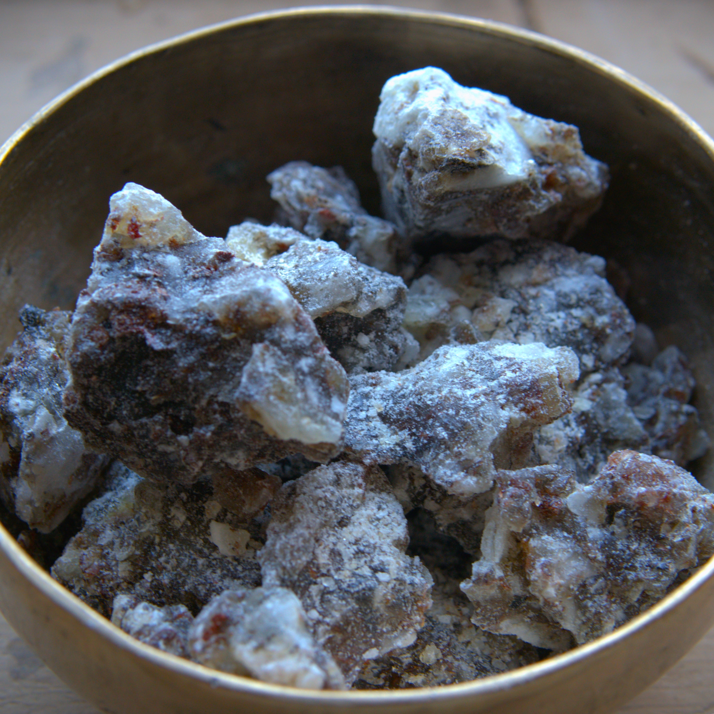 Copal Negro - Bursera bipinnata