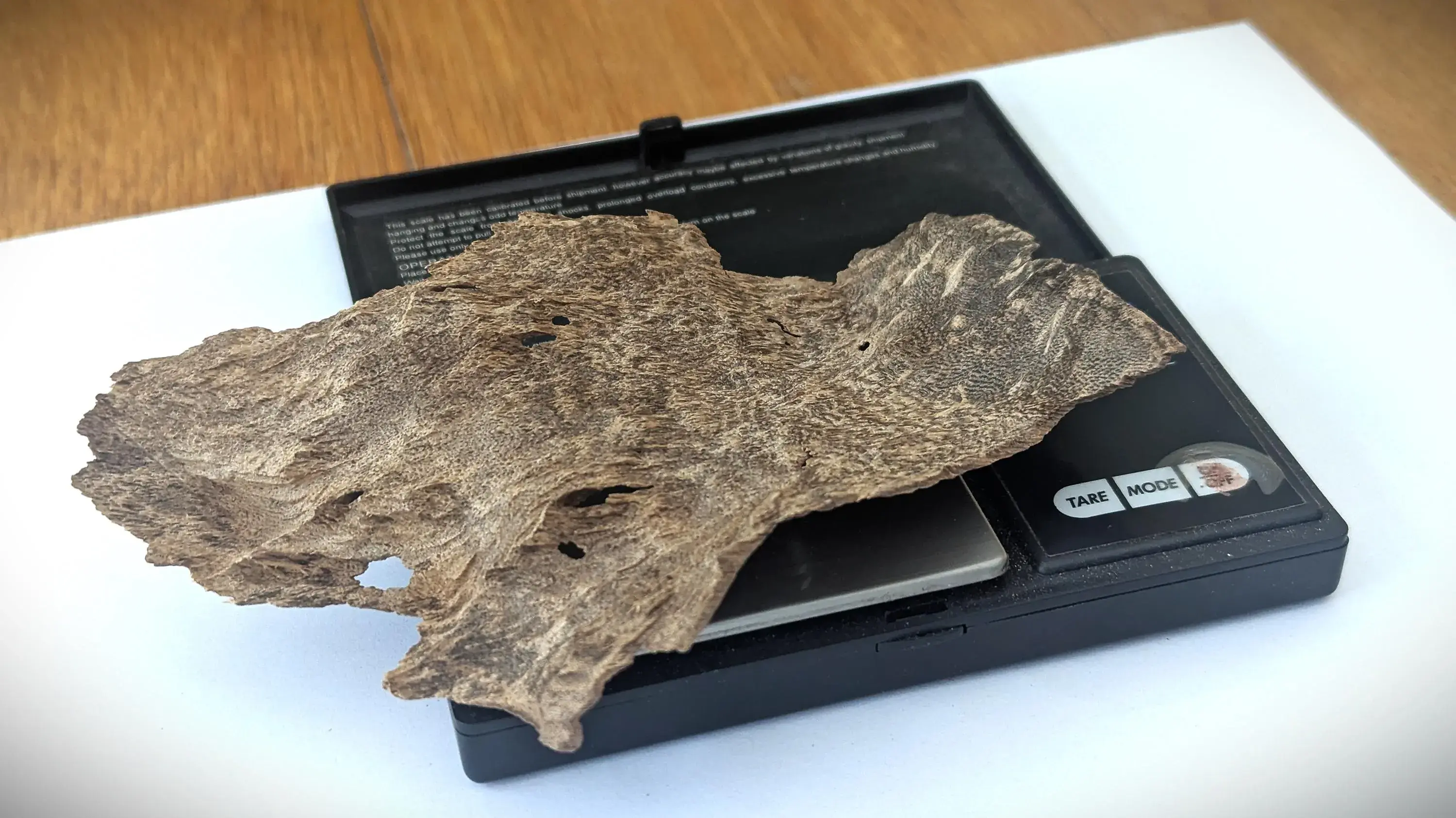 Sri Lankan Agarwood - Deniyaya Descent - Walla Patta - 10.5g