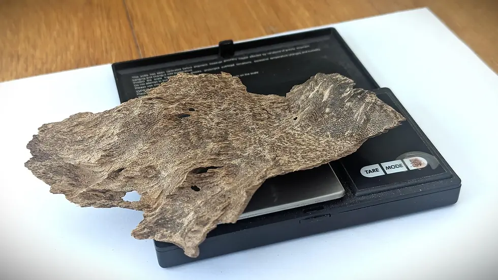 Thumbnail: Sri Lankan Agarwood - Deniyaya Descent - Walla Patta - 10.5g