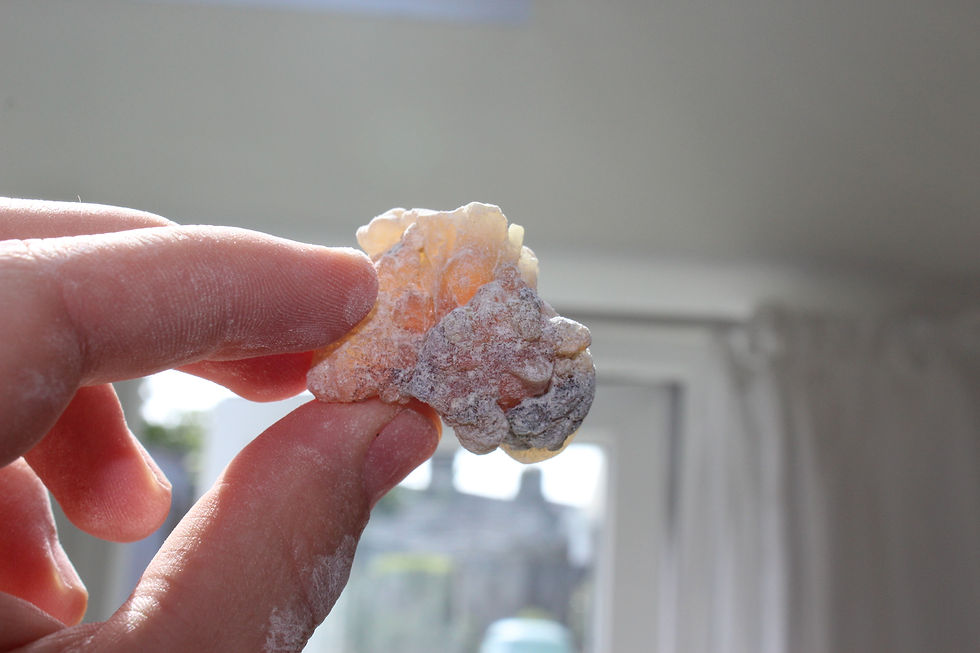 Thumbnail: Red Royal Frankincense - Yemen