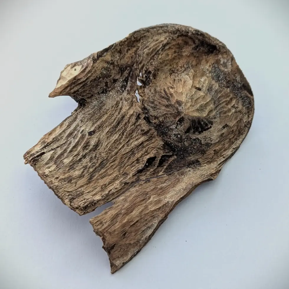 Thumbnail: Sri Lankan Agarwood - White Blend - Walla Patta - 13.1g