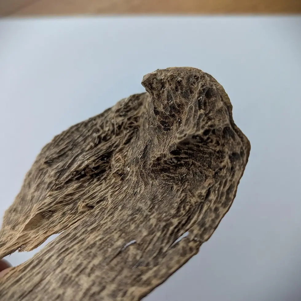 Thumbnail: Sri Lankan Agarwood - White Blend - Walla Patta - 8.3g