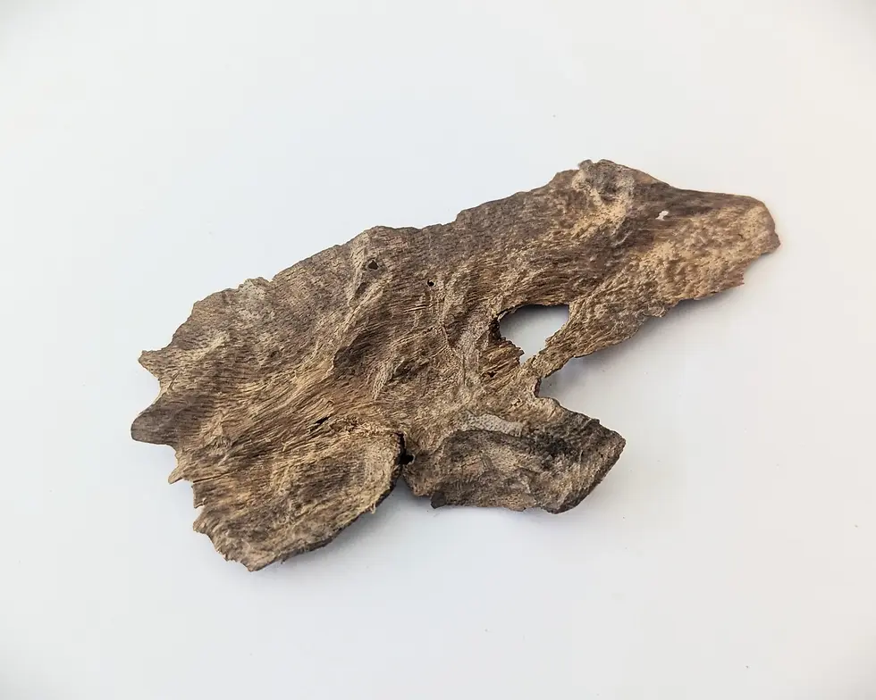 Thumbnail: Sri Lankan Agarwood - Deniyaya Descent - Walla Patta - 3.3g