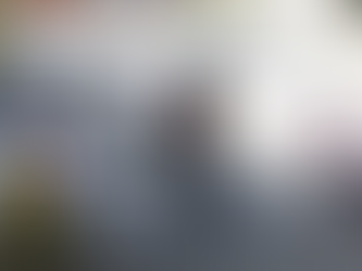 Responsabilidades intelectuales y políticas o el show en los medios*