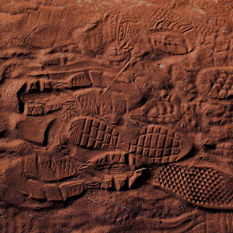 As we were walking around the red rocks I noticed all these footprints in the dirt and fig