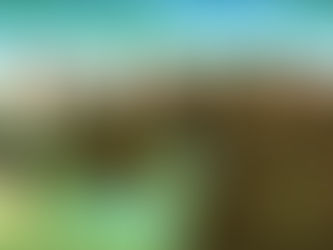 Acerca del sentido político de la formación docente