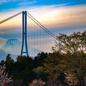 Hydrangea Festival at Mishima Skywalk
