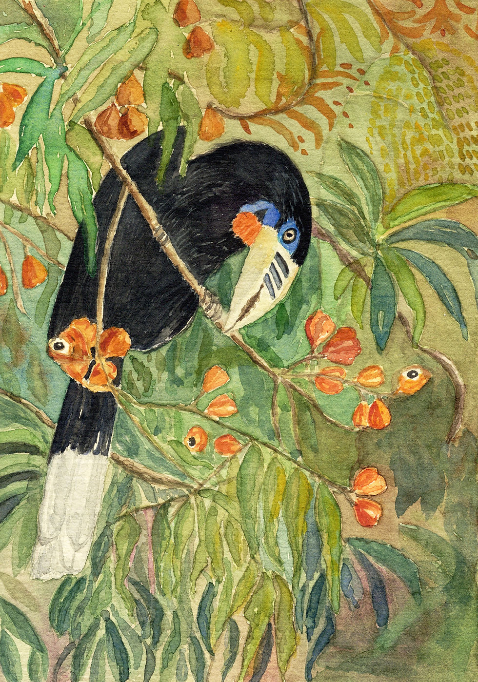 Calau-de-pescoço-ruivo