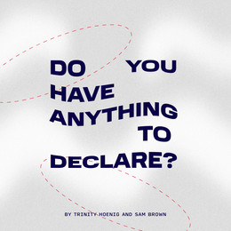 DO YOU HAVE ANYTHING TO DECLARE?