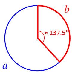 Golden Angle, Golden Ratio, Fibonacci Sequence, Nature, Patterns, Spirals, Growth, Math, Mathematic, Mathematics, Fractals, Sequences, Hexagons, Bees, Beehives, Honeycomb