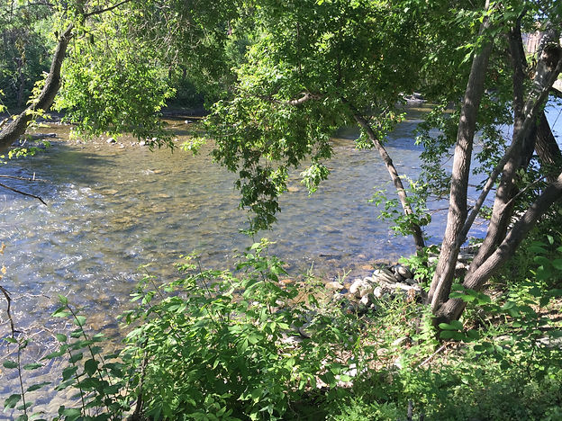 IMG_4684.jpeg
