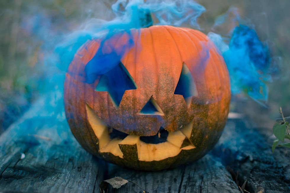 image courtesy of unsplash.com
