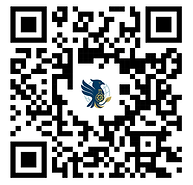 Research Internship Program.png