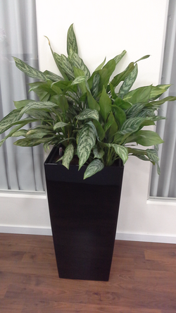 20160125_145416_edited