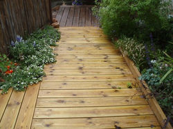 דק וגינון 009