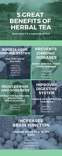 5 Great Benefits of Herbal Tea.jpg