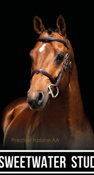 Select Sale_edited.jpg