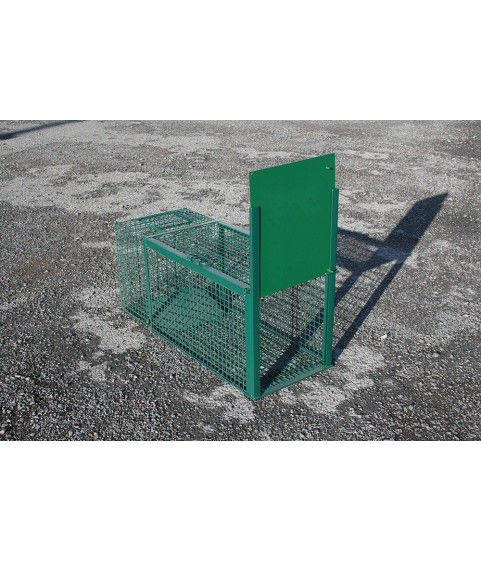 Cage piège verte pour raton laveur sur sol en gravier