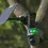 Thumbnail: Caméra de chasse Go Ranger PT attachée à un arbre avec panneau solaire visible.
