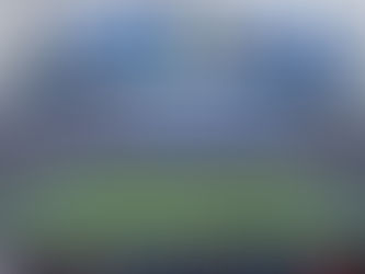 The NFL: Salary Cap and Labor Battles