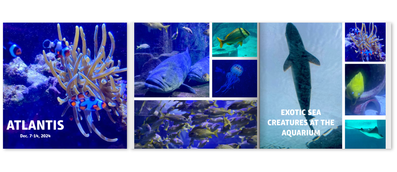 atlantis-photo-book.png