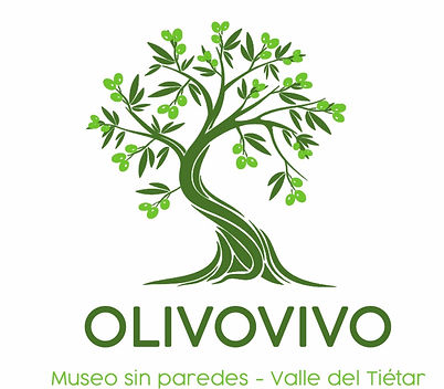 logo OLIVOVIVO e6ad8947-5ac3-4862-b5e6-865c4cbee4ec_edited.jpg