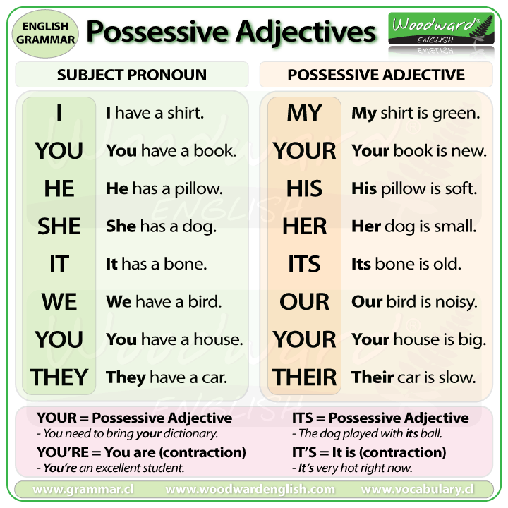 possessive-adjectives-english.gif