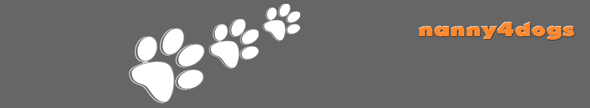 Cuidador de Perros en Valencia