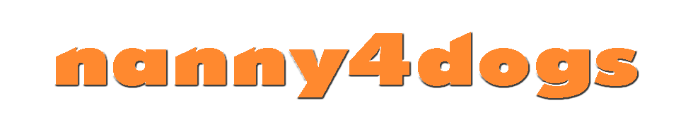 Cuidador de Perros en Valencia